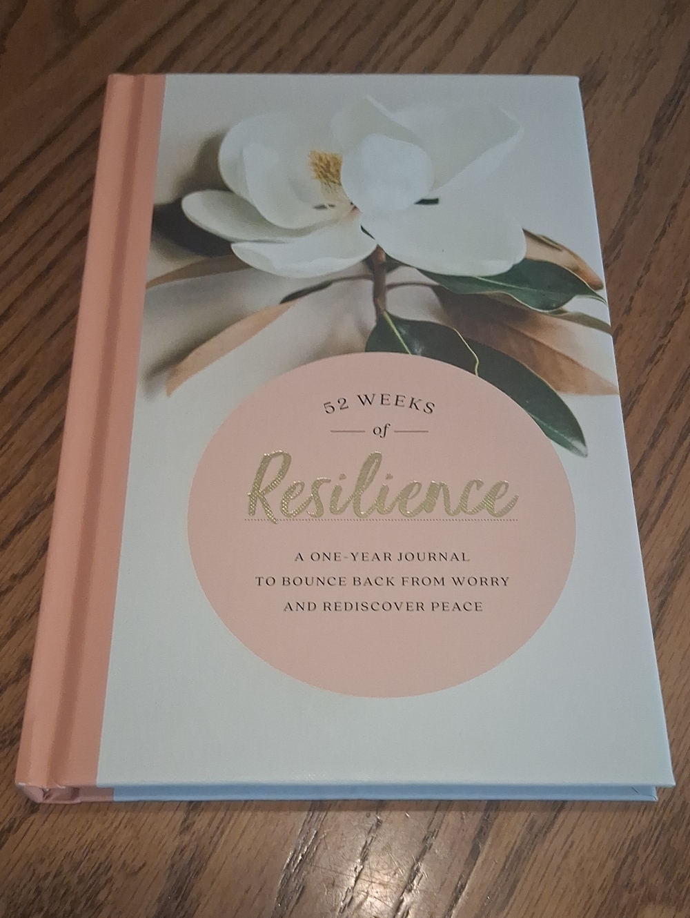 52 Weeks of Resilience Pink and White Journal